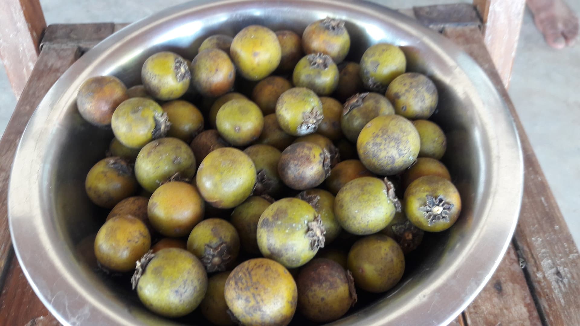 A steel bowl of freshly gathered tendu fruit on a wooden table