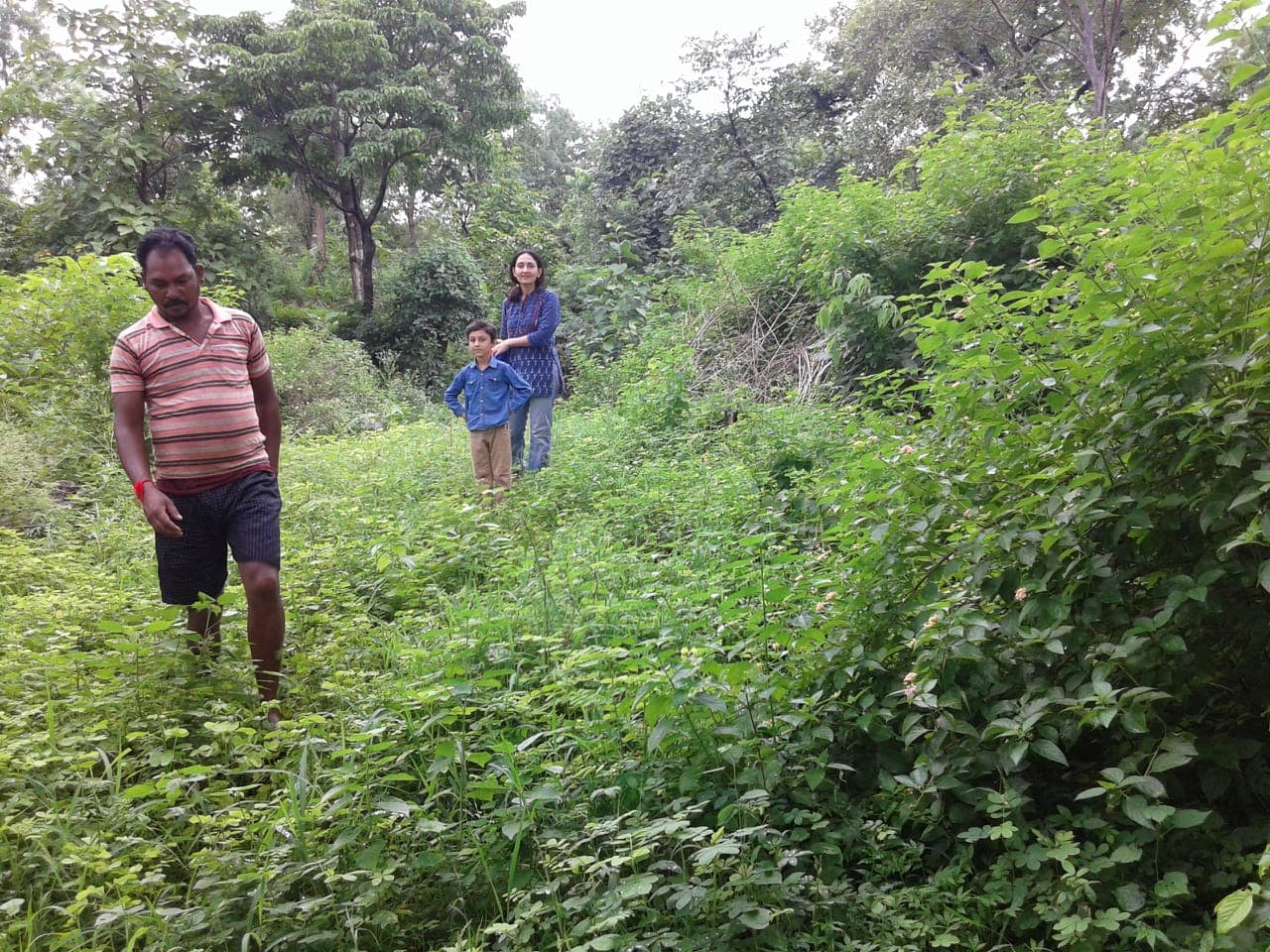Guests walking a green trail through the Aranyaani food forest with their guide