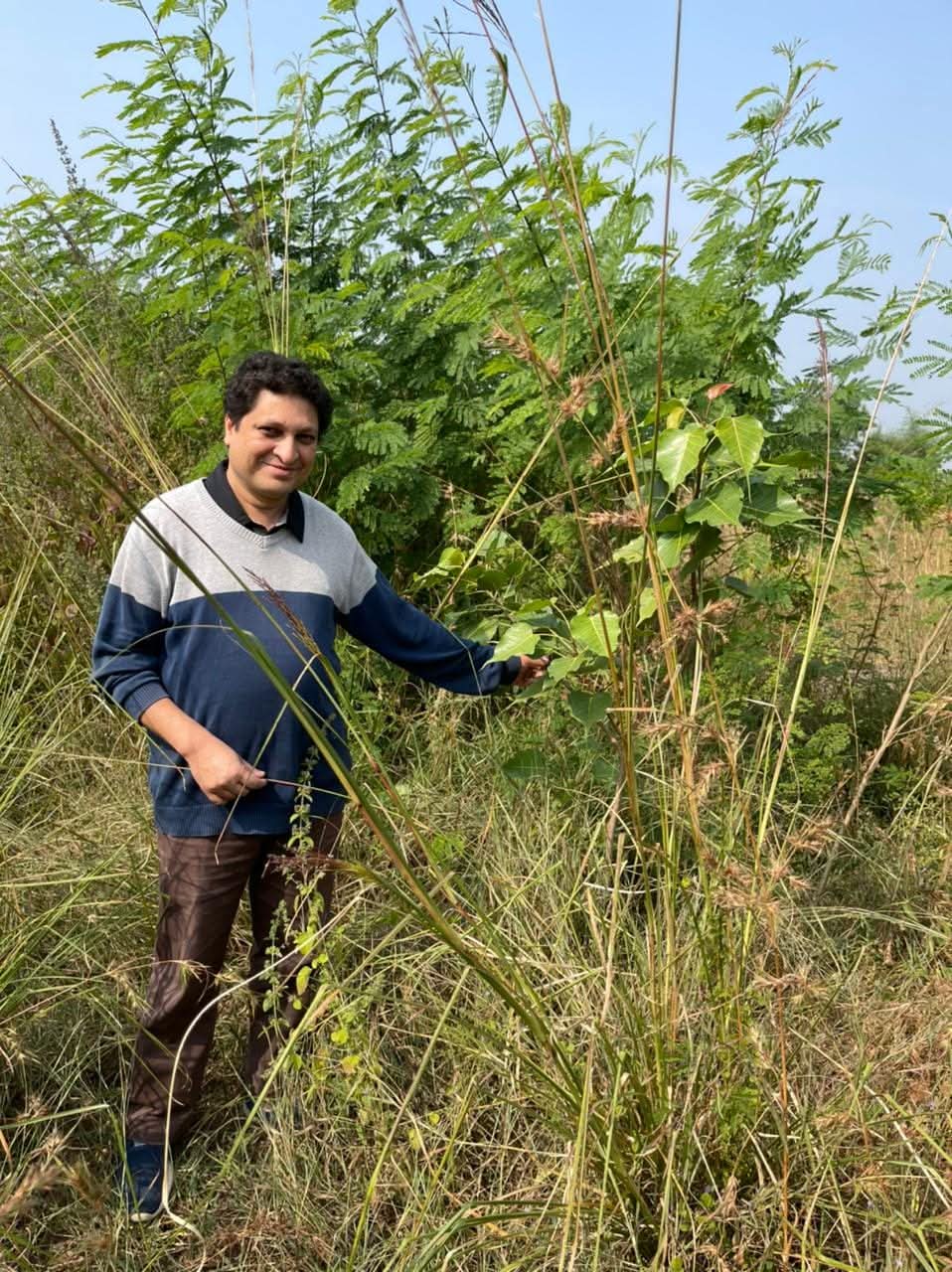 Founder Sandeep Saxena standing in tall grass among young regenerating trees at Aranyaani